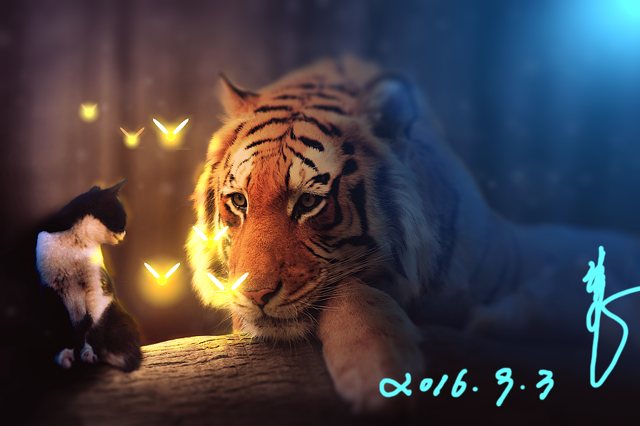 MohoMan的个人主页（背景预览） - 主页背景设置 - 站酷设计师MohoMan原创素材 - 站酷ZCOOL