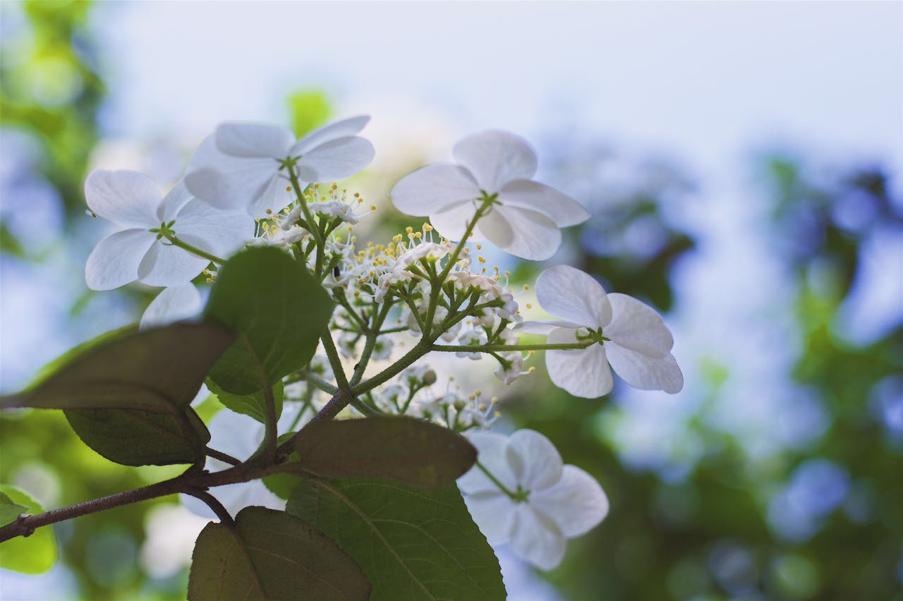 璆璆的个人主页（背景预览） - 主页背景设置 - 站酷设计师璆璆原创素材 - 站酷ZCOOL