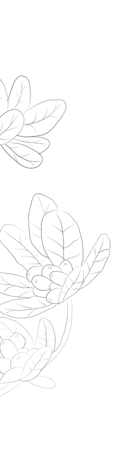 陸公子lia的個(gè)人主頁(yè)（背景預(yù)覽） - 主頁(yè)背景設(shè)置 - 站酷設(shè)計(jì)師陸公子lia原創(chuàng)素材 - 站酷ZCOOL