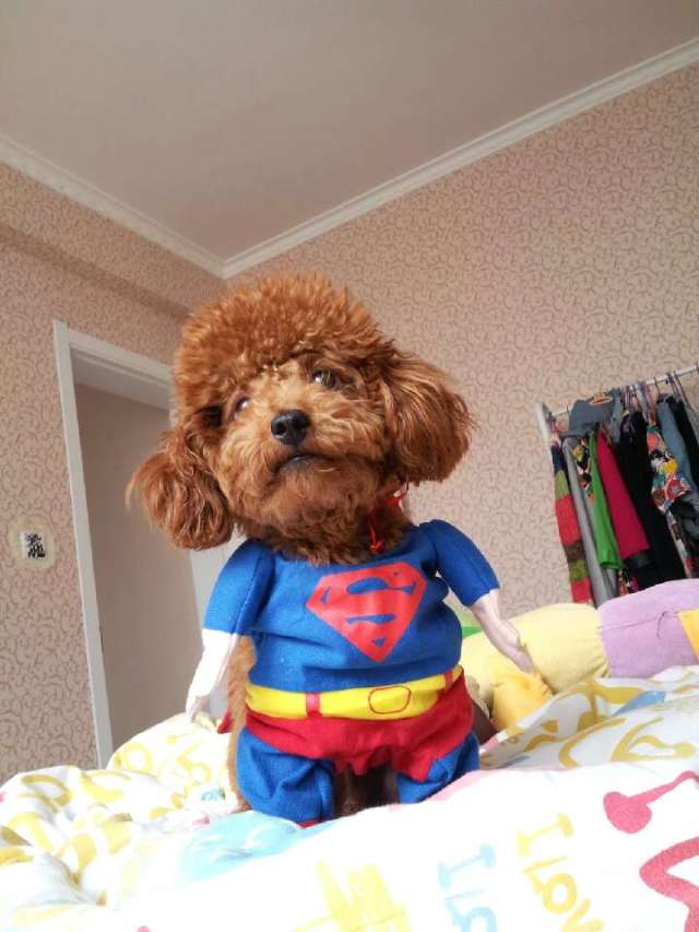 饭小嫣的个人主页（背景预览） - 主页背景设置 - 站酷设计师饭小嫣原创素材 - 站酷ZCOOL