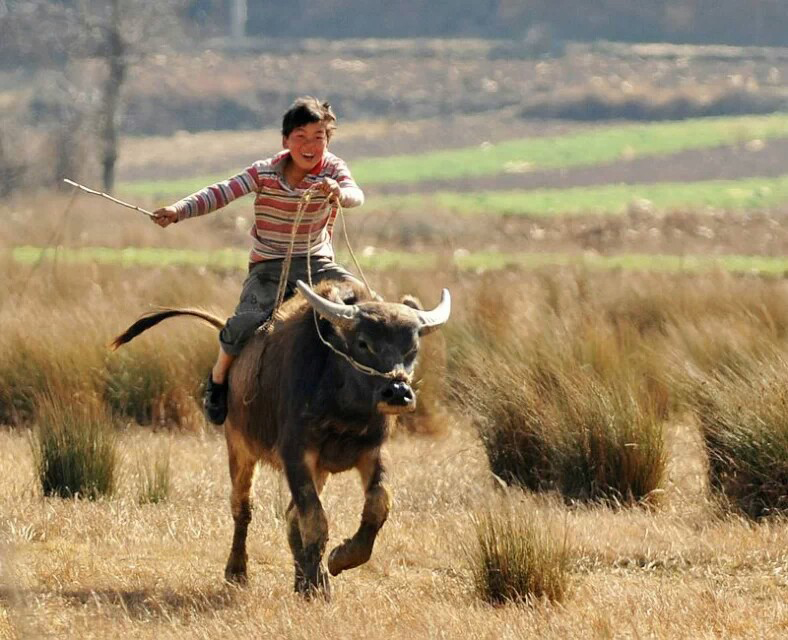 貳哥哥愛你的個人主頁（背景預覽） - 主頁背景設置 - 站酷設計師貳哥哥愛你原創(chuàng)素材 - 站酷ZCOOL