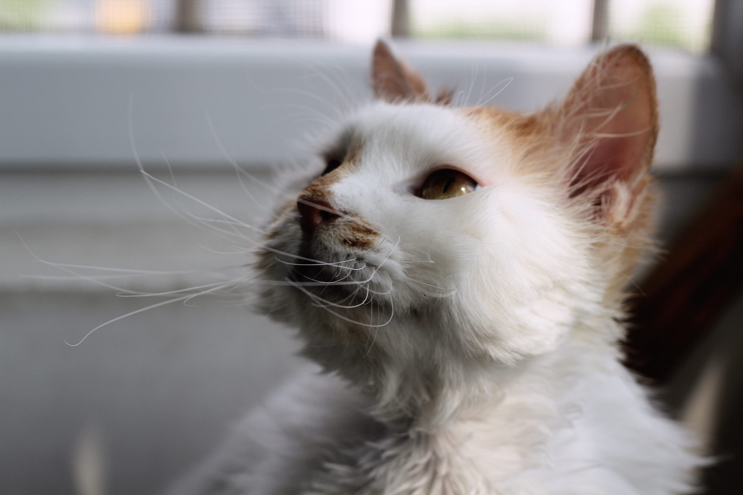 supernova16的個(gè)人主頁（背景預(yù)覽） - 主頁背景設(shè)置 - 站酷設(shè)計(jì)師supernova16原創(chuàng)素材 - 站酷ZCOOL