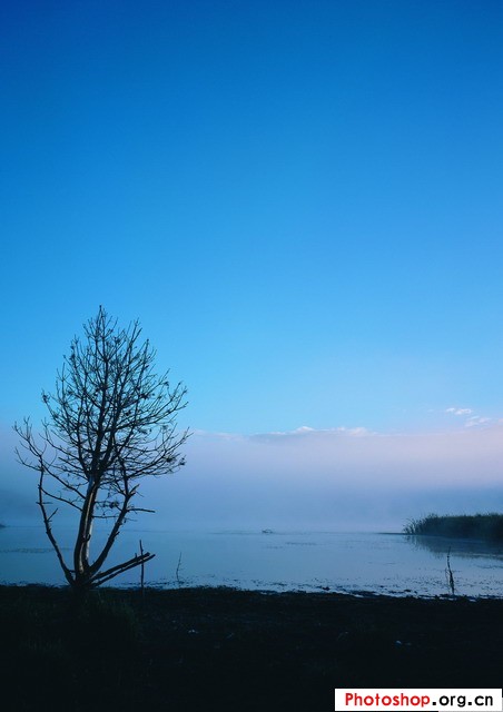 克洛洛呀的个人主页（背景预览） - 主页背景设置 - 站酷设计师克洛洛呀原创素材 - 站酷ZCOOL
