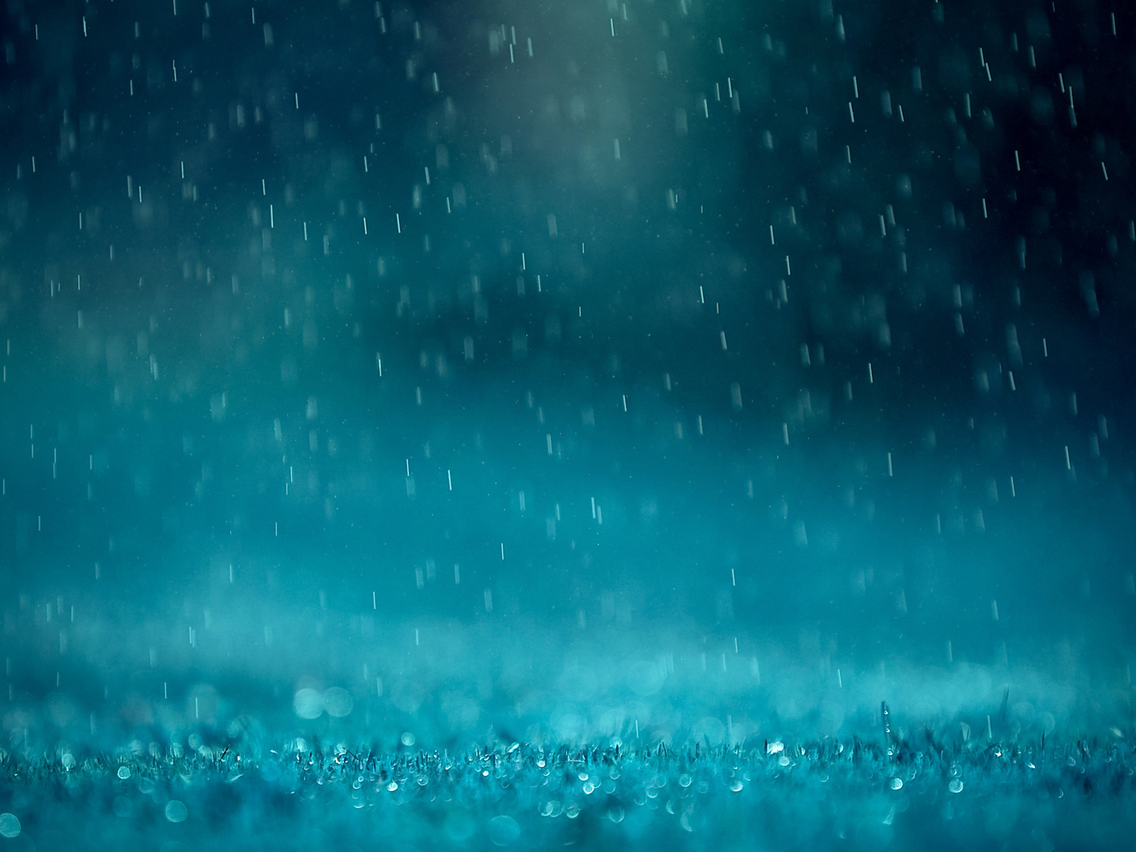 聂城北往的个人主页（背景预览） - 主页背景设置 - 站酷设计师聂城北往原创素材 - 站酷ZCOOL