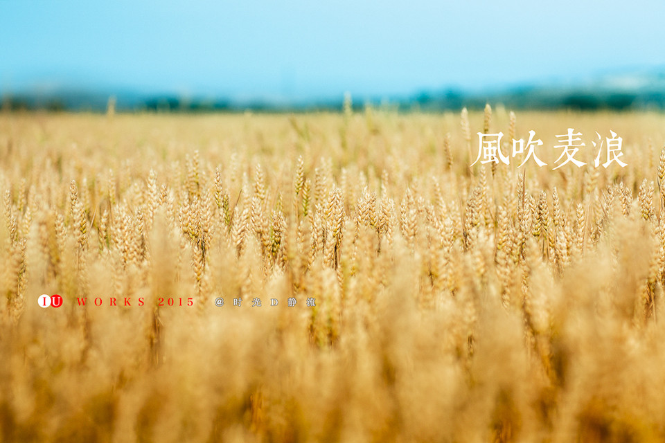 今天不啃饭的个人主页（背景预览） - 主页背景设置 - 站酷设计师今天不啃饭原创素材 - 站酷ZCOOL