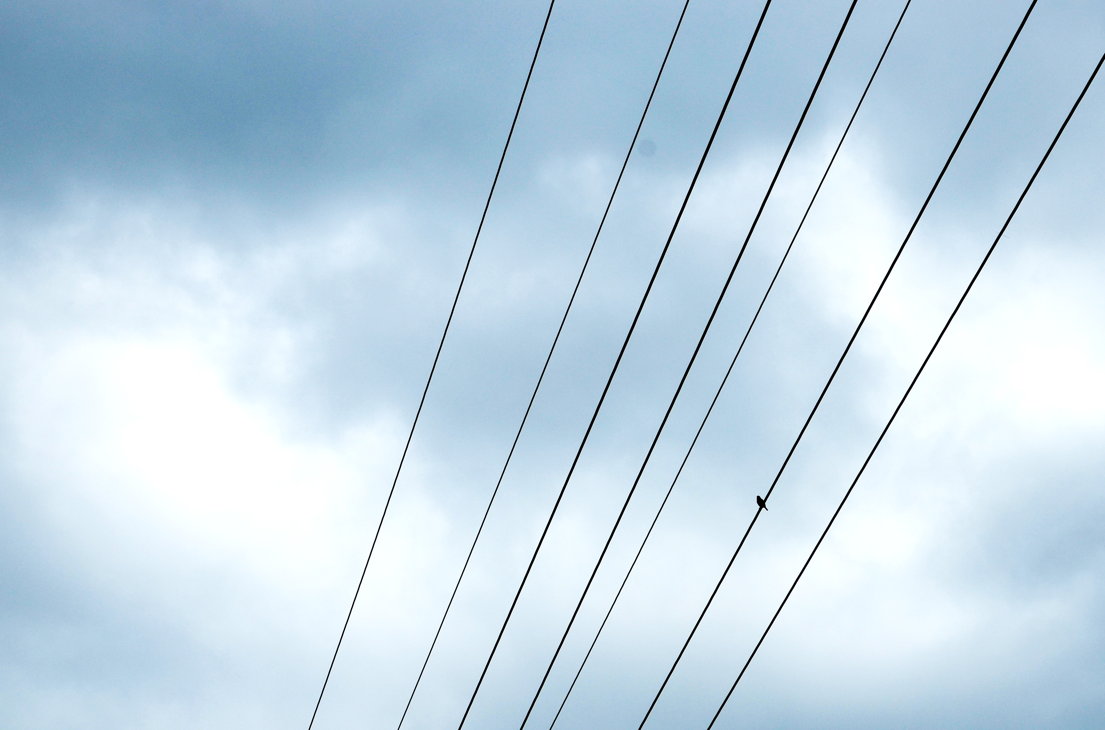 suvvvei的个人主页（背景预览） - 主页背景设置 - 站酷设计师suvvvei原创素材 - 站酷ZCOOL