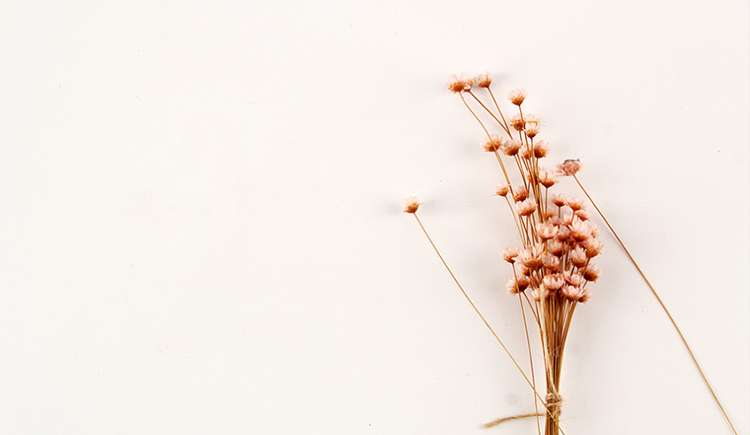 Bella_Wi的個(gè)人主頁(yè)（背景預(yù)覽） - 主頁(yè)背景設(shè)置 - 站酷設(shè)計(jì)師Bella_Wi原創(chuàng)素材 - 站酷ZCOOL