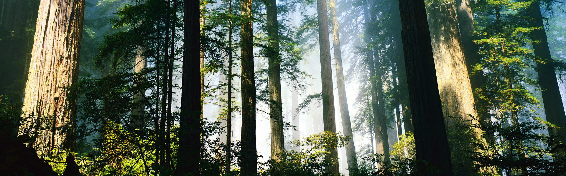 PEYO的个人主页（背景预览） - 主页背景设置 - 站酷设计师PEYO原创素材 - 站酷ZCOOL