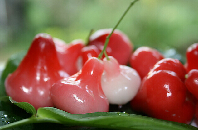 家飛喵的個人主頁（背景預覽） - 主頁背景設置 - 站酷設計師家飛喵原創(chuàng)素材 - 站酷ZCOOL