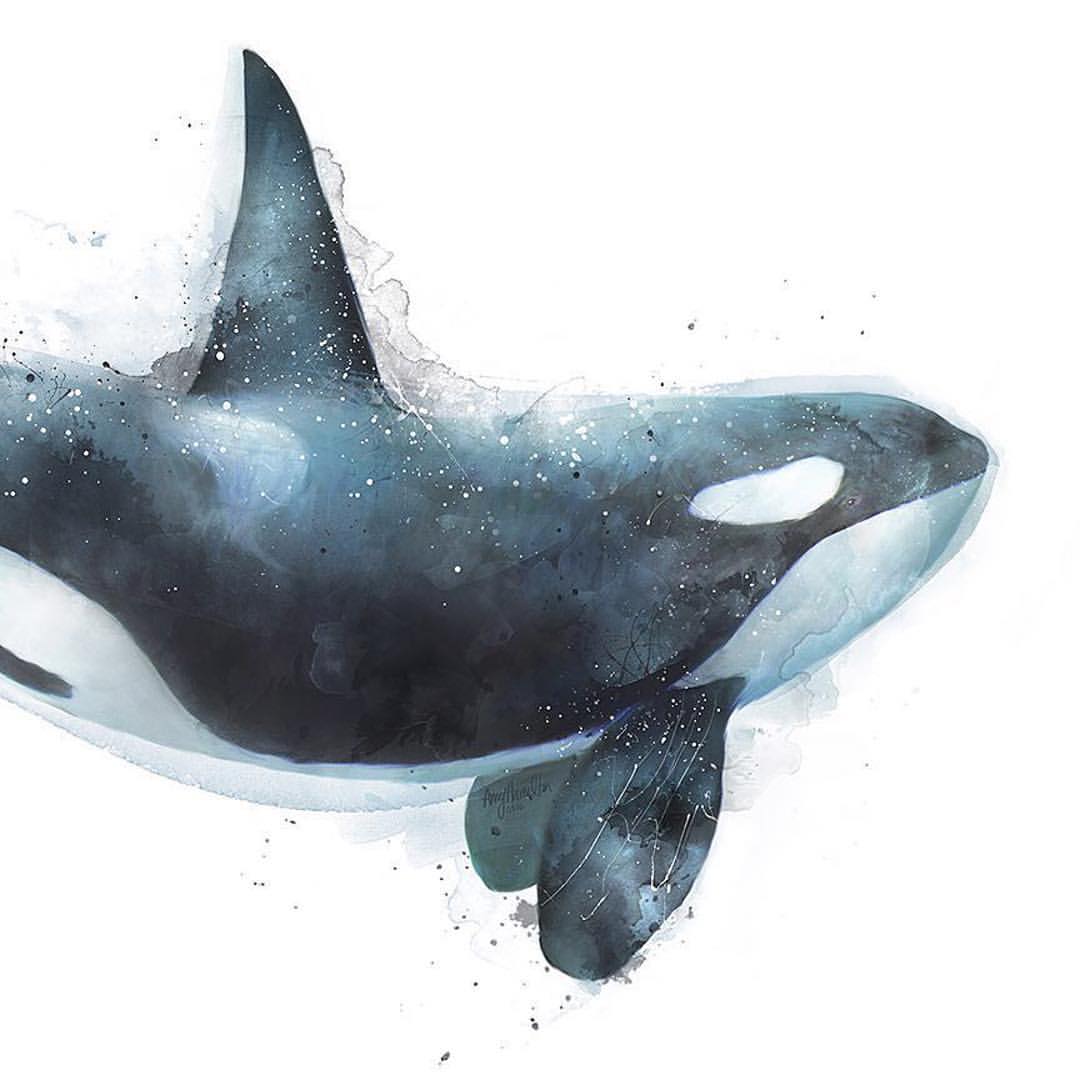 HGX0412的個人主頁（背景預覽） - 主頁背景設置 - 站酷設計師HGX0412原創(chuàng)素材 - 站酷ZCOOL