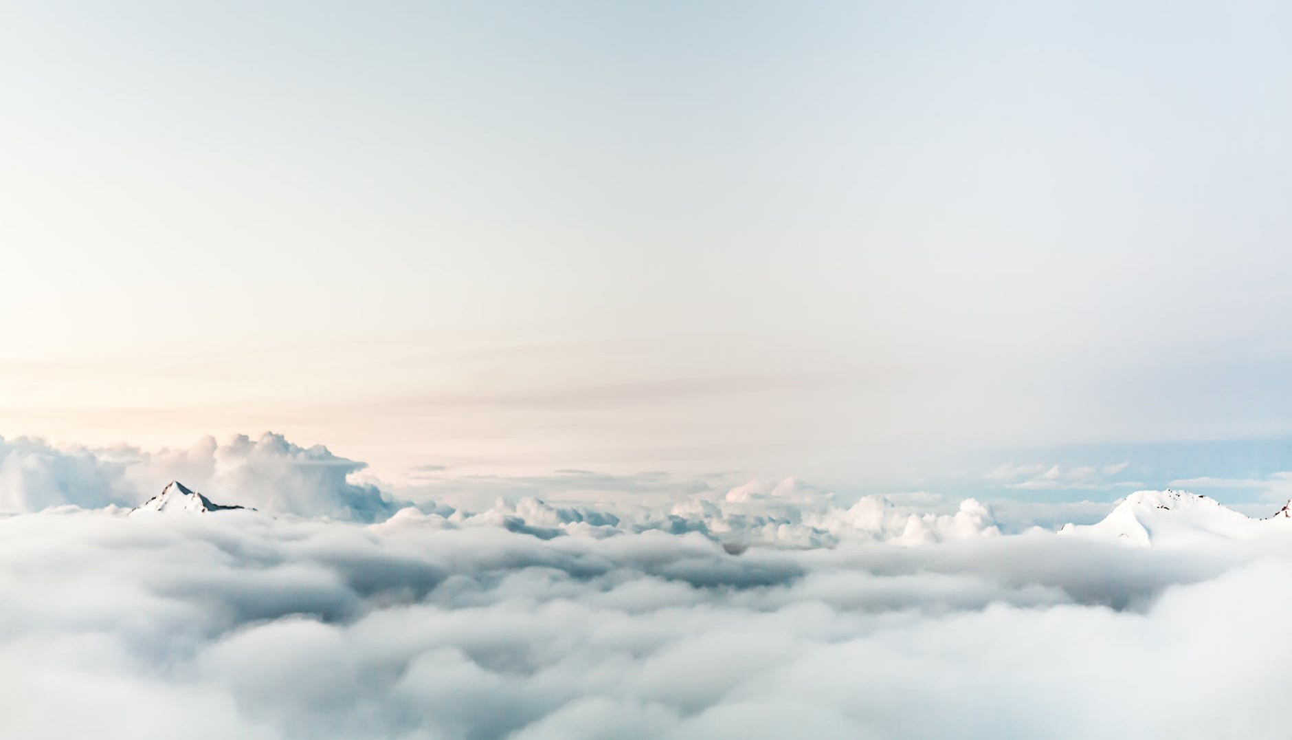 小肥羊yang的个人主页（背景预览） - 主页背景设置 - 站酷设计师小肥羊yang原创素材 - 站酷ZCOOL