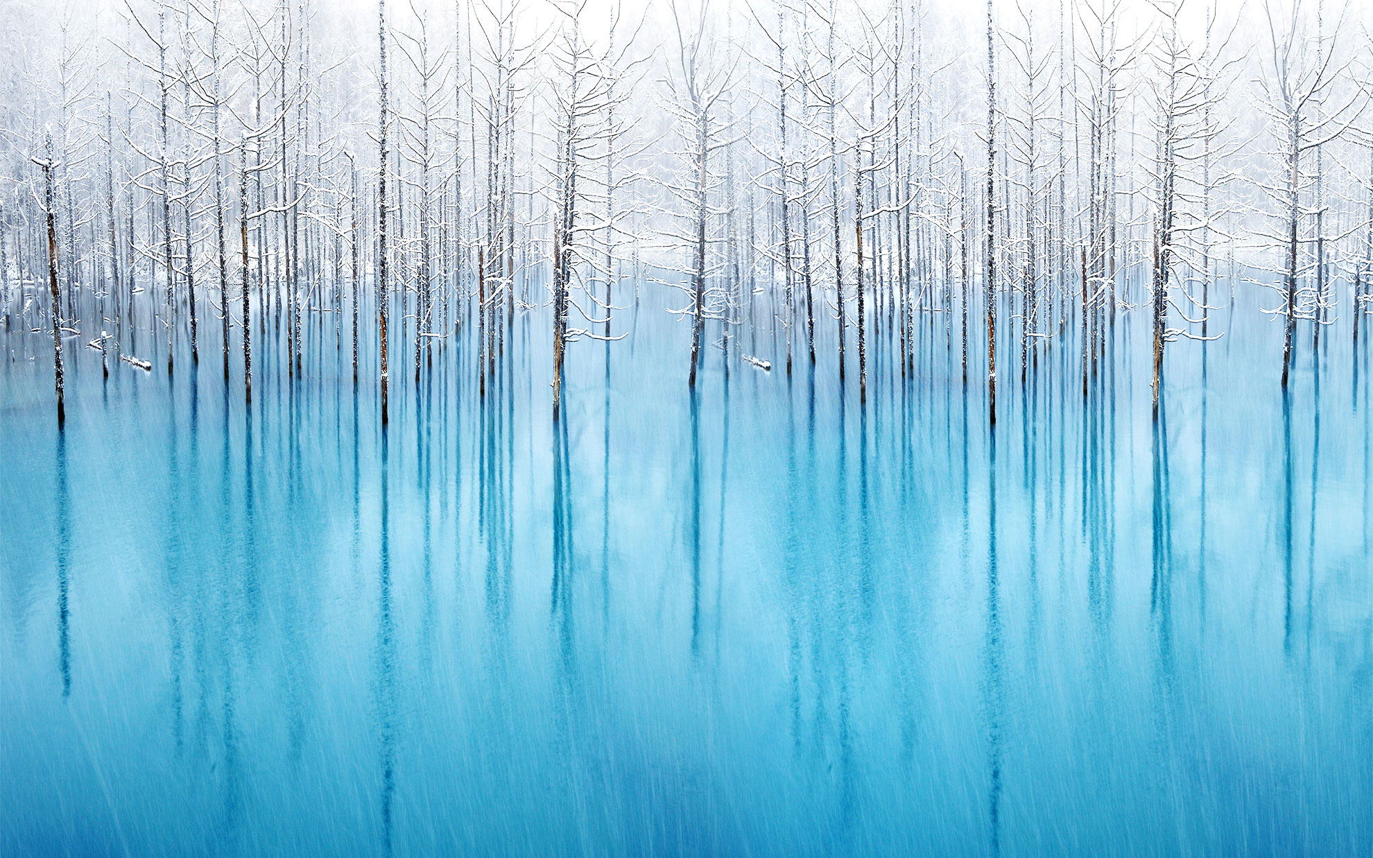 向陽(yáng)寶寶的個(gè)人主頁(yè)（背景預(yù)覽） - 主頁(yè)背景設(shè)置 - 站酷設(shè)計(jì)師向陽(yáng)寶寶原創(chuàng)素材 - 站酷ZCOOL