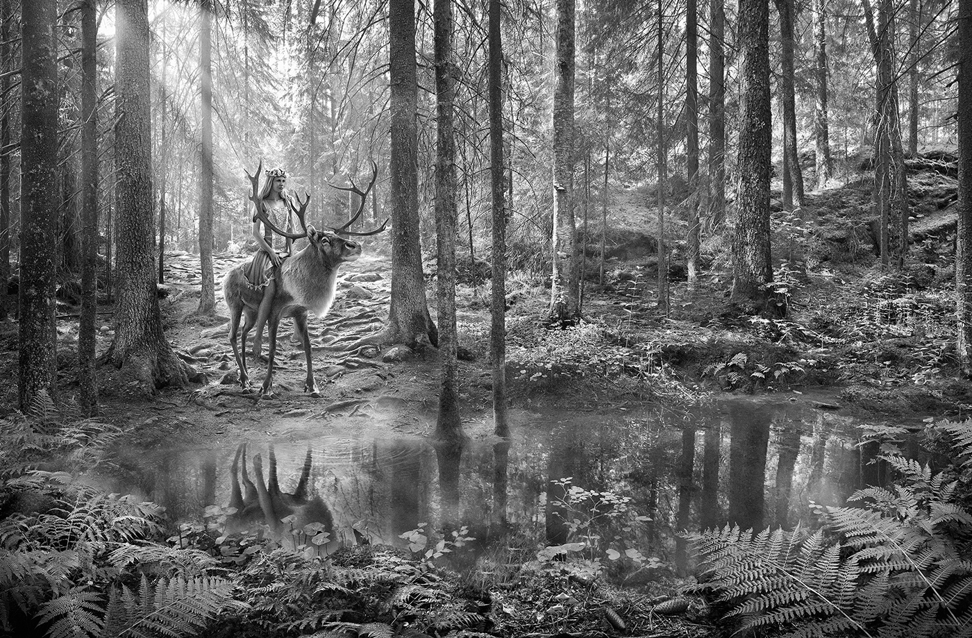 DanHelin_的個人主頁（背景預覽） - 主頁背景設置 - 站酷設計師DanHelin_原創(chuàng)素材 - 站酷ZCOOL