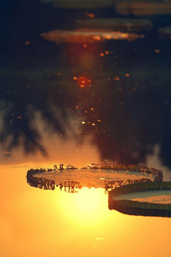 wypcw的個人主頁（背景預覽） - 主頁背景設置 - 站酷設計師wypcw原創(chuàng)素材 - 站酷ZCOOL