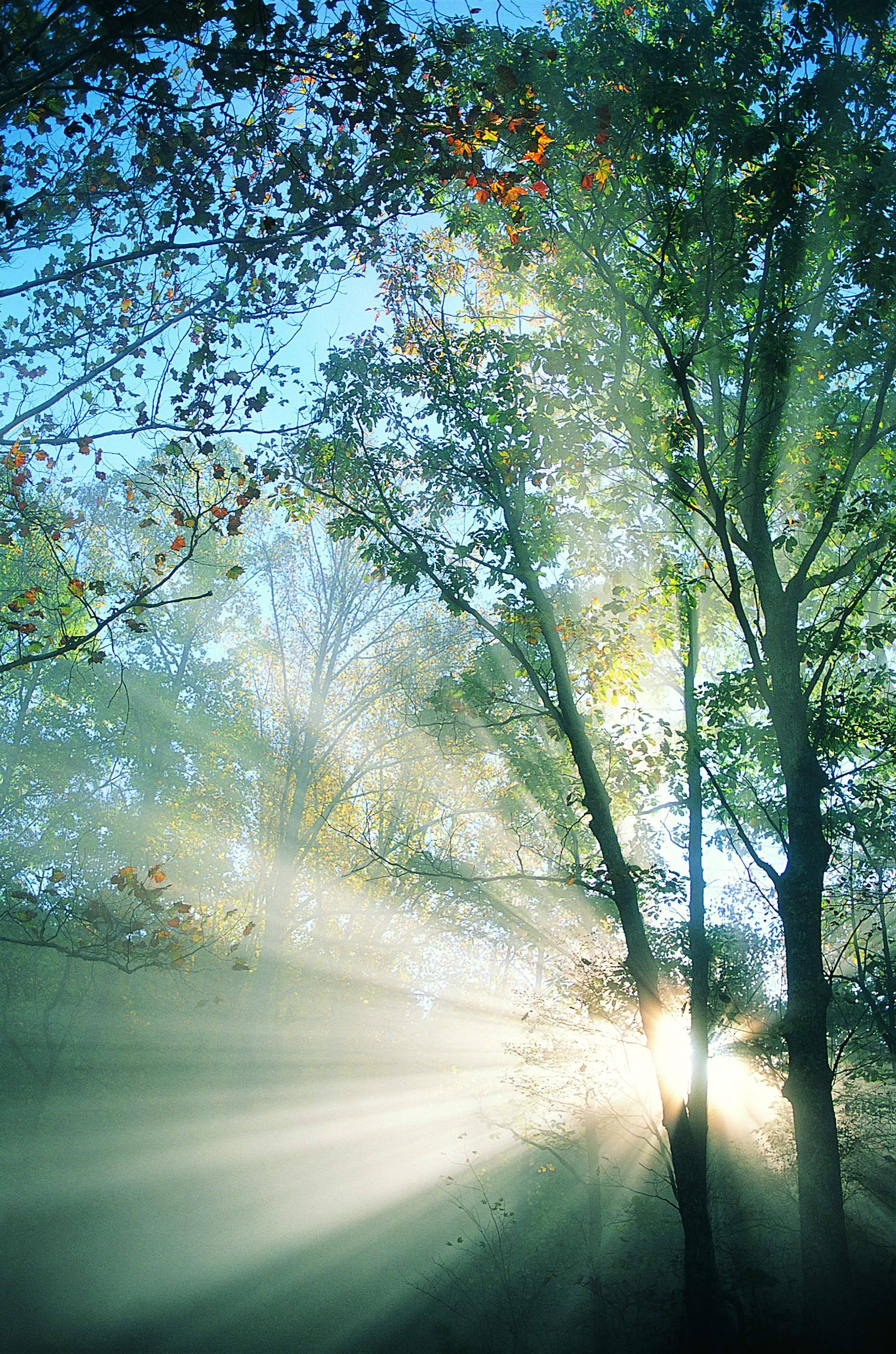 小獅子晗的個(gè)人主頁（背景預(yù)覽） - 主頁背景設(shè)置 - 站酷設(shè)計(jì)師小獅子晗原創(chuàng)素材 - 站酷ZCOOL