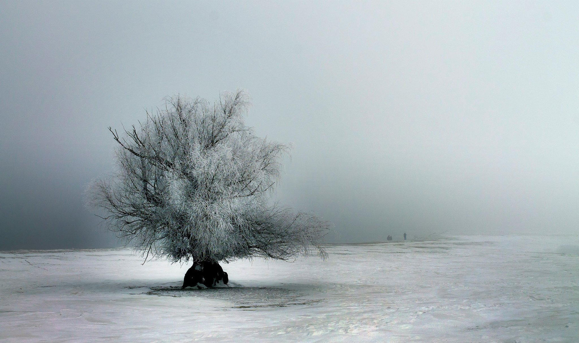 千年錘的個人主頁（背景預覽） - 主頁背景設置 - 站酷設計師千年錘原創(chuàng)素材 - 站酷ZCOOL