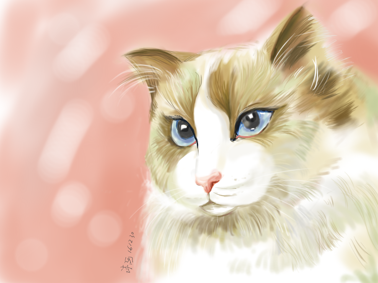 阿什么诗的个人主页（背景预览） - 主页背景设置 - 站酷设计师阿什么诗原创素材 - 站酷ZCOOL