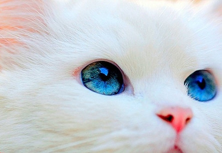 wuhuayin5200的个人主页（背景预览） - 主页背景设置 - 站酷设计师wuhuayin5200原创素材 - 站酷ZCOOL