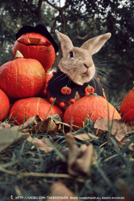 无名之辈一李的个人主页（背景预览） - 主页背景设置 - 站酷设计师无名之辈一李原创素材 - 站酷ZCOOL