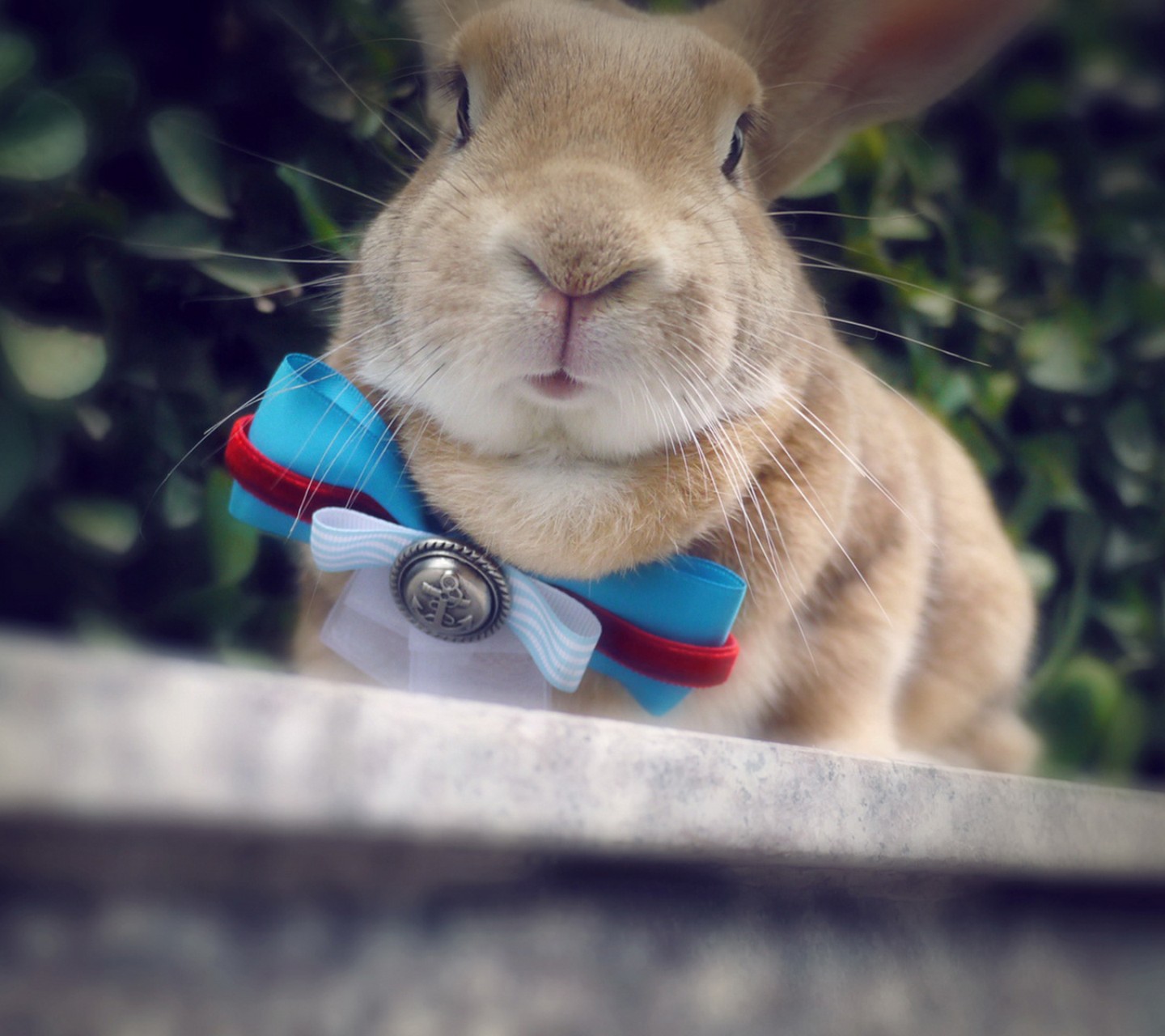 my加小菲的个人主页（背景预览） - 主页背景设置 - 站酷设计师my加小菲原创素材 - 站酷ZCOOL