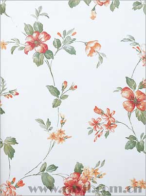 Alina戴的個人主頁（背景預覽） - 主頁背景設(shè)置 - 站酷設(shè)計師Alina戴原創(chuàng)素材 - 站酷ZCOOL