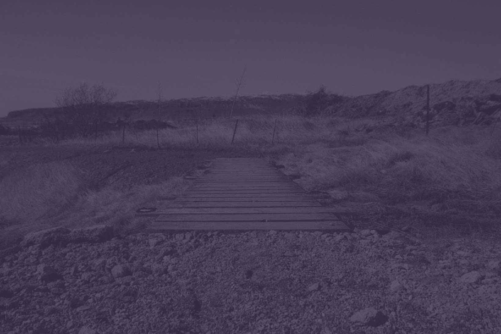 豆芽菜丶的个人主页（背景预览） - 主页背景设置 - 站酷设计师豆芽菜丶原创素材 - 站酷ZCOOL