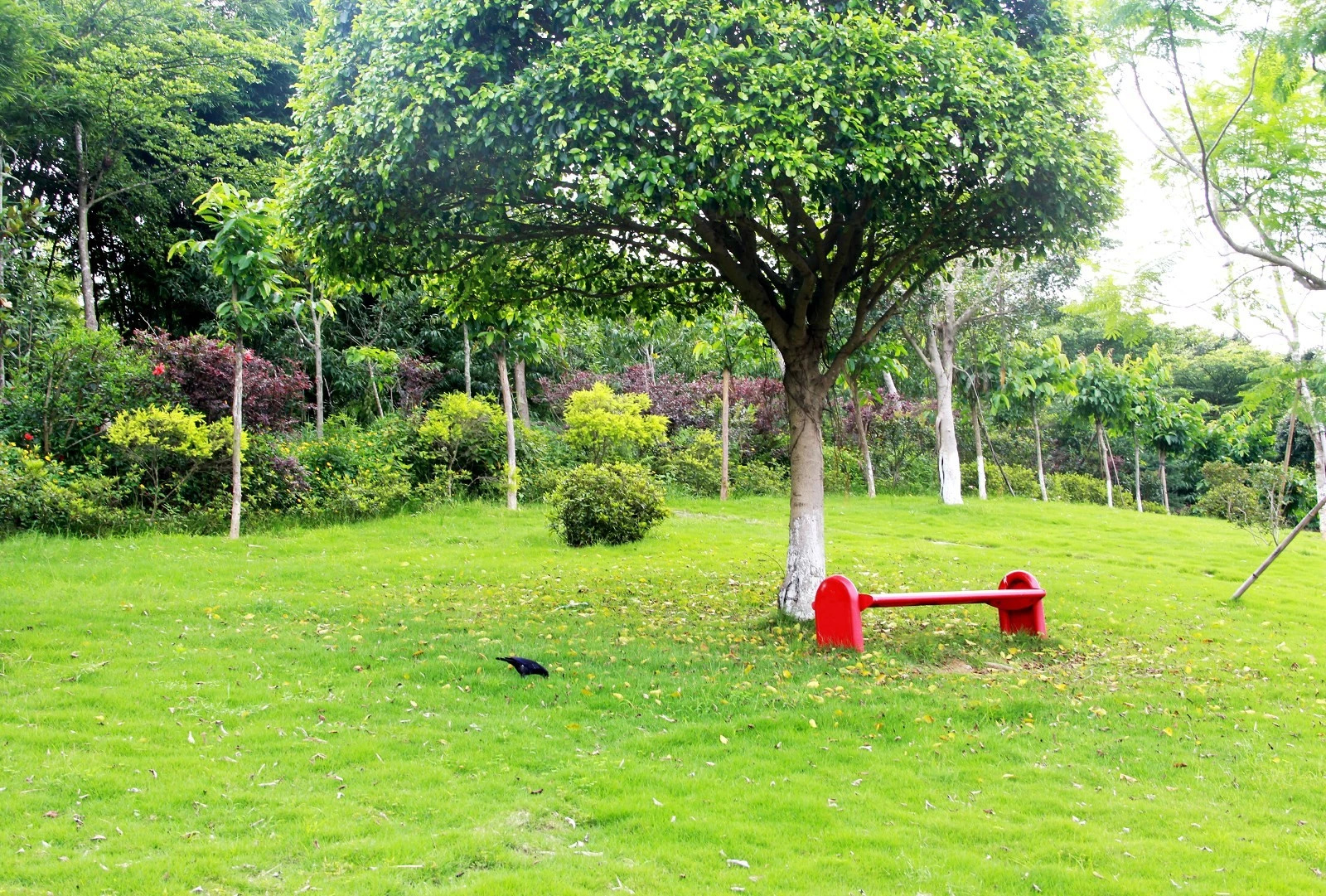 嘻嘻AAA的个人主页（背景预览） - 主页背景设置 - 站酷设计师嘻嘻AAA原创素材 - 站酷ZCOOL