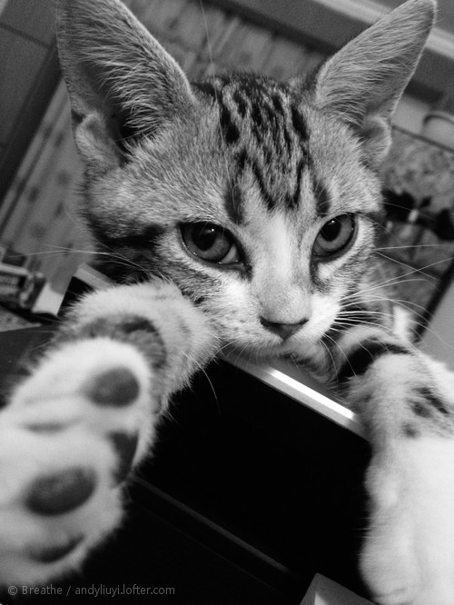 丑小的個(gè)人主頁（背景預(yù)覽） - 主頁背景設(shè)置 - 站酷設(shè)計(jì)師丑小原創(chuàng)素材 - 站酷ZCOOL