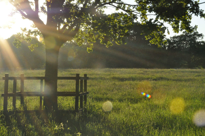 yuqizhang的个人主页（背景预览） - 主页背景设置 - 站酷设计师yuqizhang原创素材 - 站酷ZCOOL