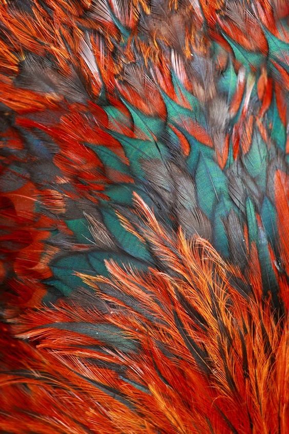 牵着猫逃跑的个人主页（背景预览） - 主页背景设置 - 站酷设计师牵着猫逃跑原创素材 - 站酷ZCOOL