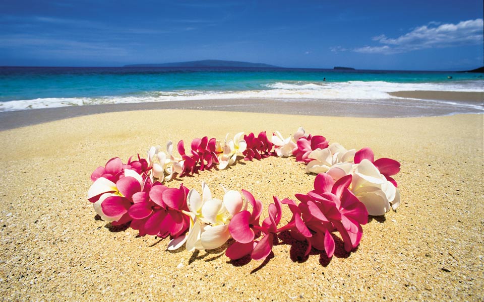 gaojiping的個(gè)人主頁(yè)（背景預(yù)覽） - 主頁(yè)背景設(shè)置 - 站酷設(shè)計(jì)師gaojiping原創(chuàng)素材 - 站酷ZCOOL