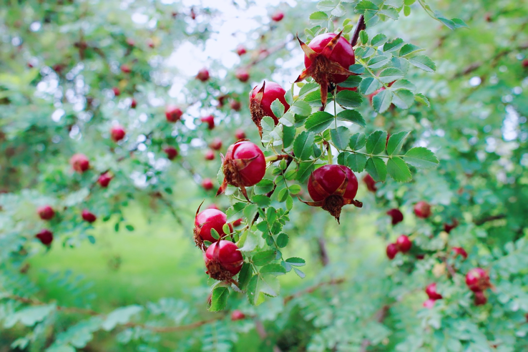 流光灰白倩影的个人主页（背景预览） - 主页背景设置 - 站酷设计师流光灰白倩影原创素材 - 站酷ZCOOL
