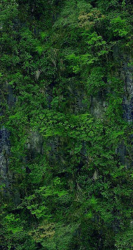 江阴风景的个人主页（背景预览） - 主页背景设置 - 站酷设计师江阴风景原创素材 - 站酷ZCOOL