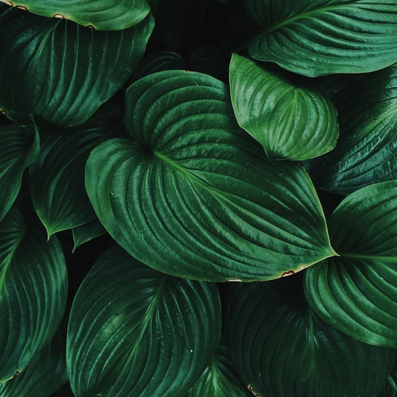 林燦Felicity的個(gè)人主頁(yè)（背景預(yù)覽） - 主頁(yè)背景設(shè)置 - 站酷設(shè)計(jì)師林燦Felicity原創(chuàng)素材 - 站酷ZCOOL