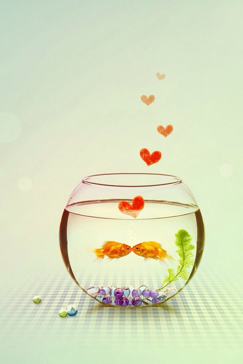 Scott古德奈特的個人主頁（背景預(yù)覽） - 主頁背景設(shè)置 - 站酷設(shè)計(jì)師Scott古德奈特原創(chuàng)素材 - 站酷ZCOOL