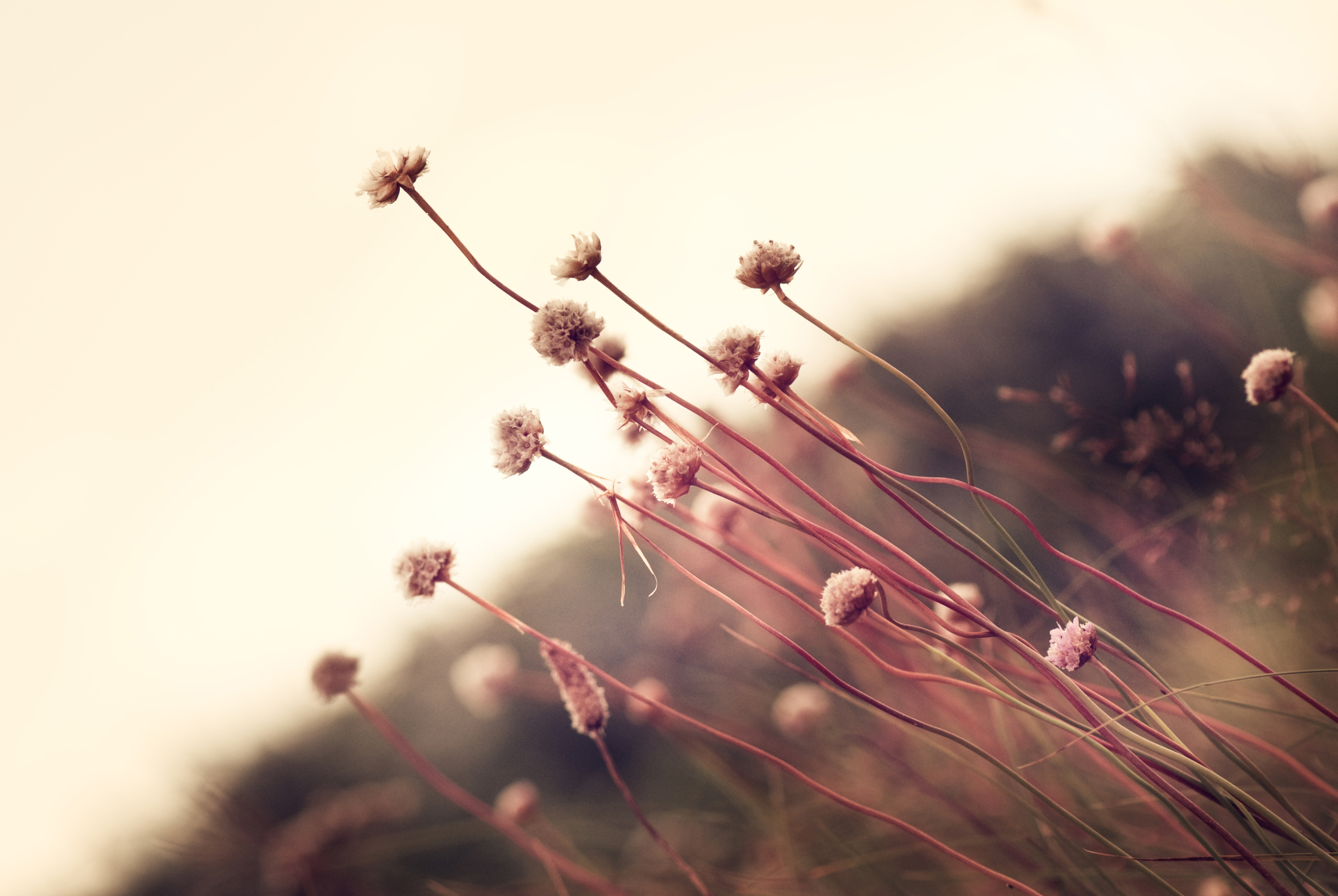 严星晨的个人主页（背景预览） - 主页背景设置 - 站酷设计师严星晨原创素材 - 站酷ZCOOL