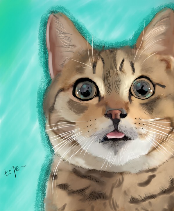 我要抱抱熊的個人主頁（背景預(yù)覽） - 主頁背景設(shè)置 - 站酷設(shè)計師我要抱抱熊原創(chuàng)素材 - 站酷ZCOOL