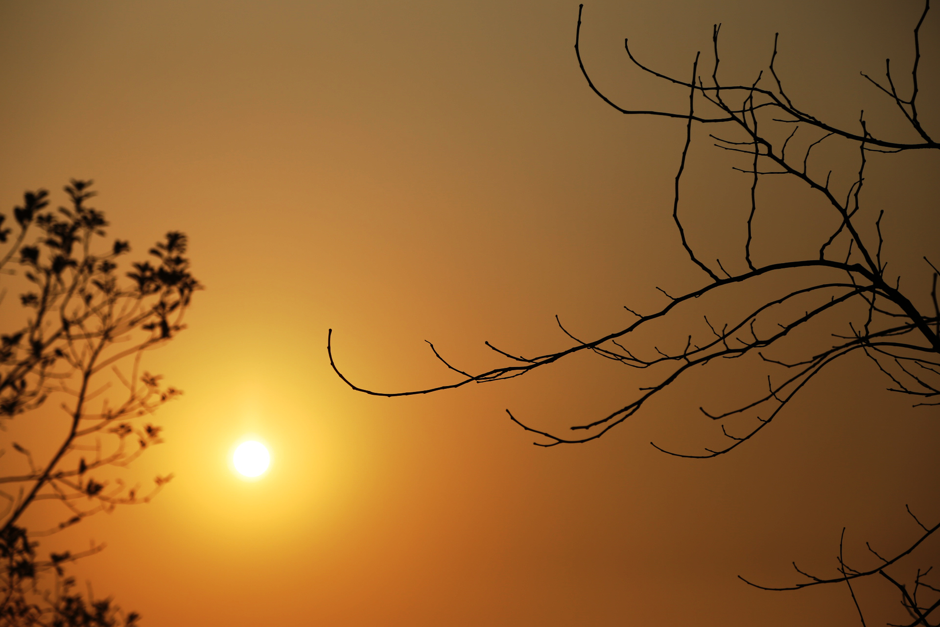 渺小的ant的個(gè)人主頁（背景預(yù)覽） - 主頁背景設(shè)置 - 站酷設(shè)計(jì)師渺小的ant原創(chuàng)素材 - 站酷ZCOOL