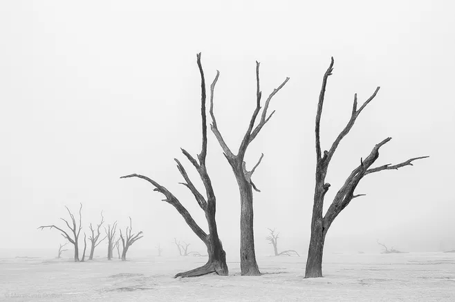 Znn_的個人主頁（背景預覽） - 主頁背景設置 - 站酷設計師Znn_原創(chuàng)素材 - 站酷ZCOOL