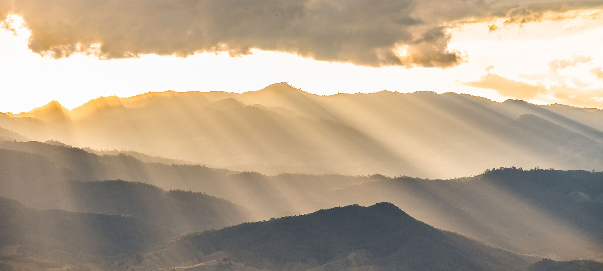 十二月的李子不甜的个人主页（背景预览） - 主页背景设置 - 站酷设计师十二月的李子不甜原创素材 - 站酷ZCOOL