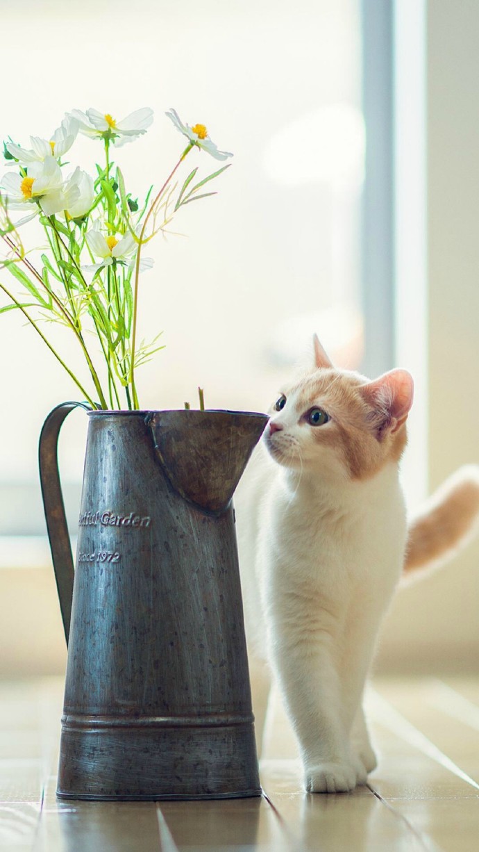 微涼晚秋的個(gè)人主頁(yè)（背景預(yù)覽） - 主頁(yè)背景設(shè)置 - 站酷設(shè)計(jì)師微涼晚秋原創(chuàng)素材 - 站酷ZCOOL