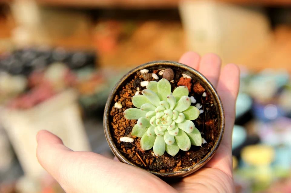 摄影师阿炜的个人主页（背景预览） - 主页背景设置 - 站酷设计师摄影师阿炜原创素材 - 站酷ZCOOL