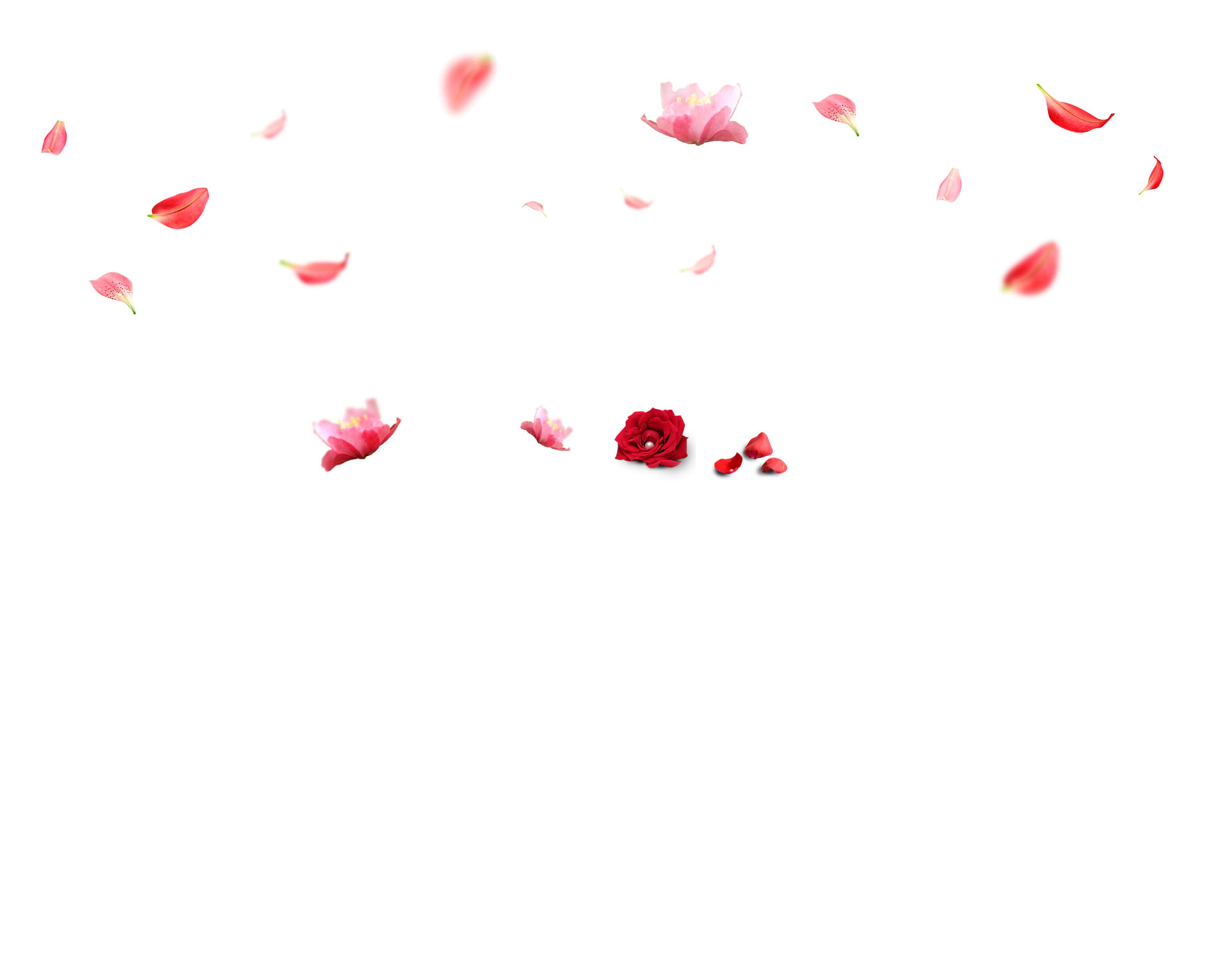 paulina5925的個(gè)人主頁(yè)（背景預(yù)覽） - 主頁(yè)背景設(shè)置 - 站酷設(shè)計(jì)師paulina5925原創(chuàng)素材 - 站酷ZCOOL