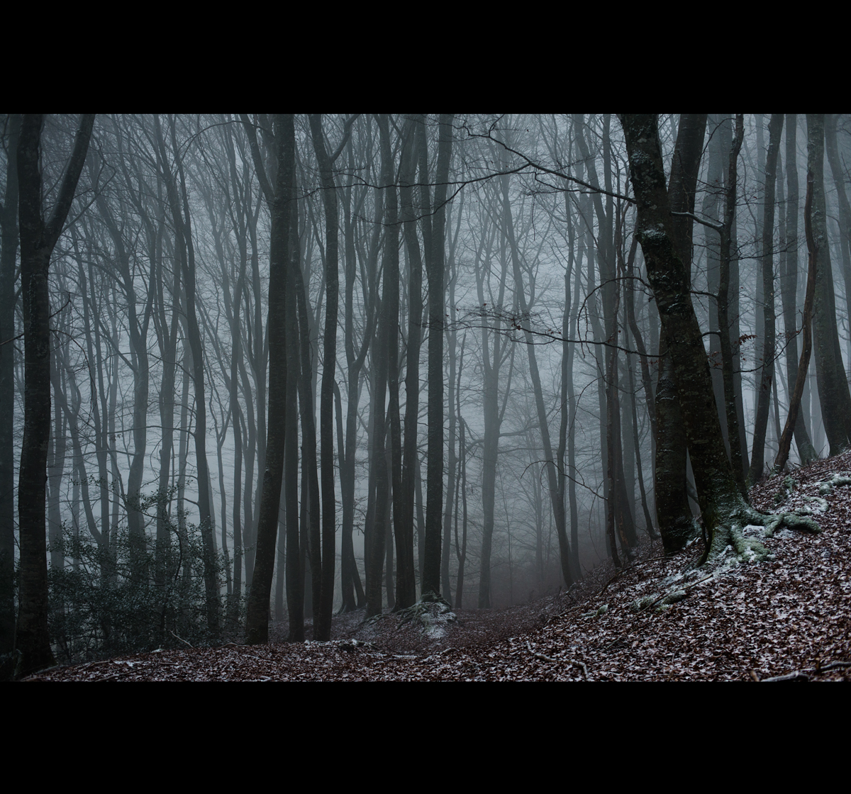 lighters的个人主页（背景预览） - 主页背景设置 - 站酷设计师lighters原创素材 - 站酷ZCOOL