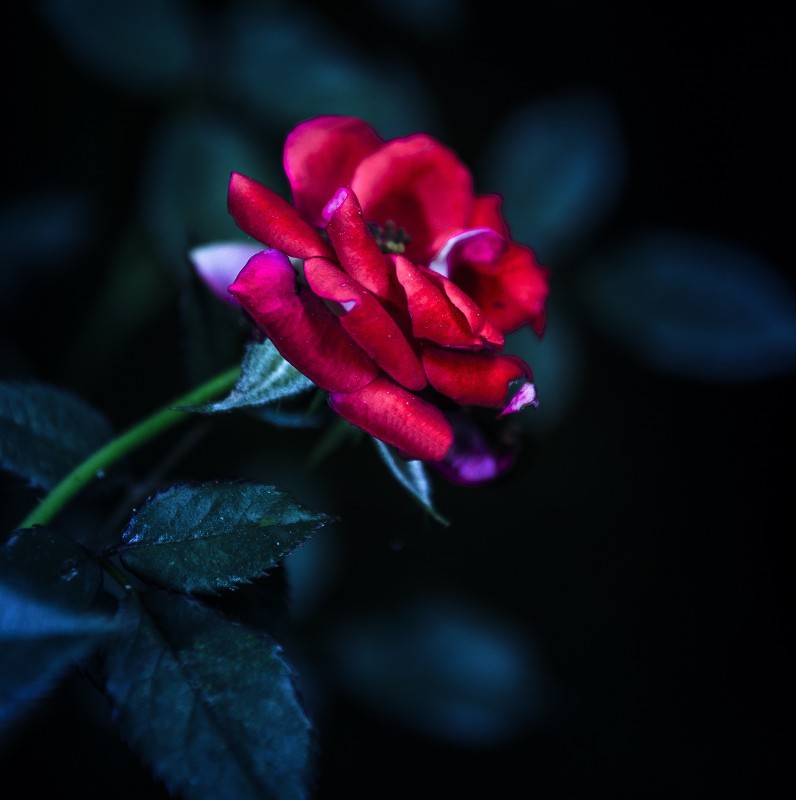 我愛(ài)中國(guó)風(fēng)的個(gè)人主頁(yè)（背景預(yù)覽） - 主頁(yè)背景設(shè)置 - 站酷設(shè)計(jì)師我愛(ài)中國(guó)風(fēng)原創(chuàng)素材 - 站酷ZCOOL