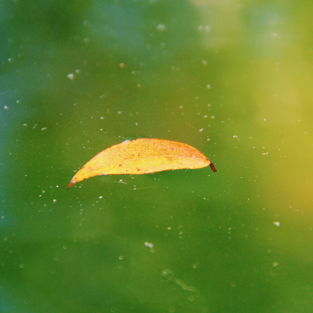 娅子aki的个人主页（背景预览） - 主页背景设置 - 站酷设计师娅子aki原创素材 - 站酷ZCOOL