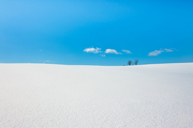 ZAN_的個(gè)人主頁（背景預(yù)覽） - 主頁背景設(shè)置 - 站酷設(shè)計(jì)師ZAN_原創(chuàng)素材 - 站酷ZCOOL