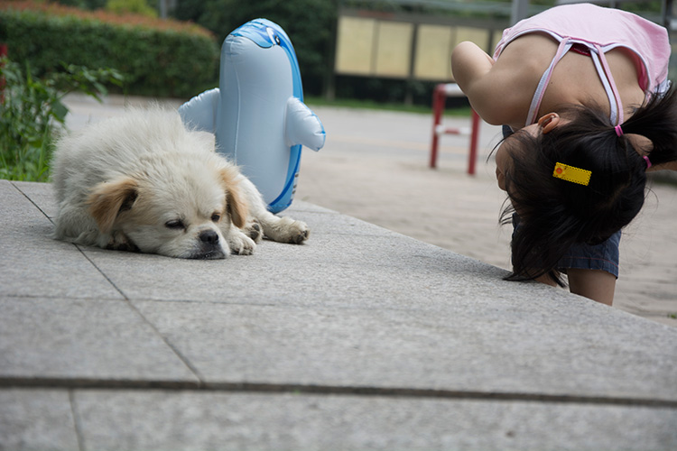 鲜核桃的个人主页（背景预览） - 主页背景设置 - 站酷设计师鲜核桃原创素材 - 站酷ZCOOL