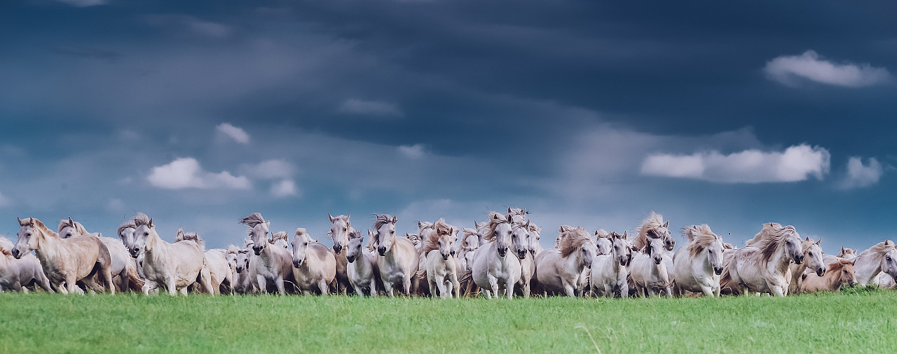 香草秋刀鱼的个人主页（背景预览） - 主页背景设置 - 站酷设计师香草秋刀鱼原创素材 - 站酷ZCOOL