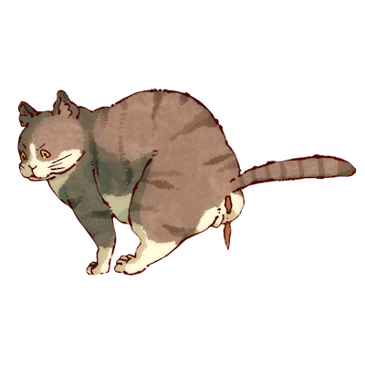 茶二二二二的个人主页（背景预览） - 主页背景设置 - 站酷设计师茶二二二二原创素材 - 站酷ZCOOL